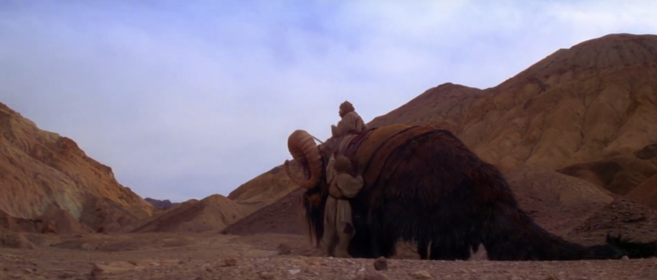 tusken-brown.jpg