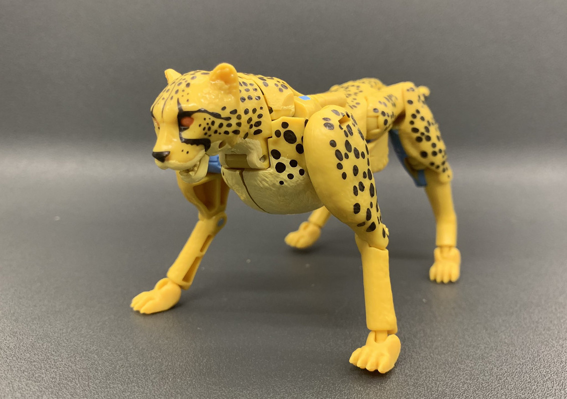 Kingdom-KD-03-Cheetor-02