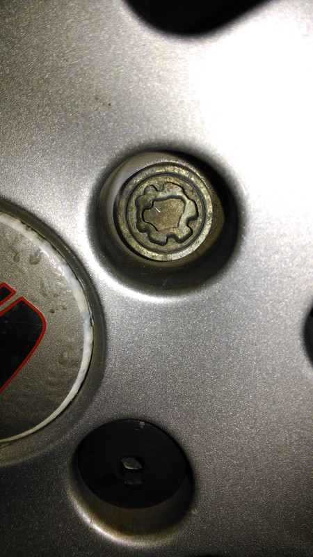 IMAG0659