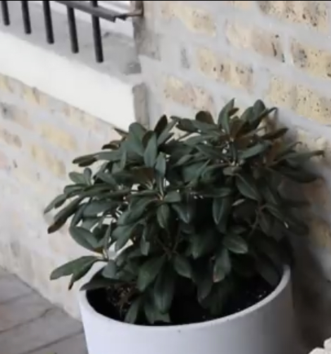 C7FB5200-77F3-4942-BE5E-E2B1424949BC