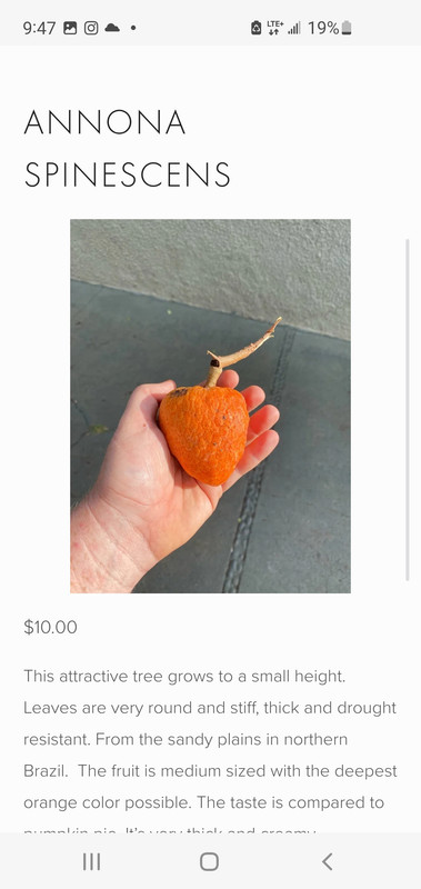 Screenshot 20260102 214759 Samsung Internet