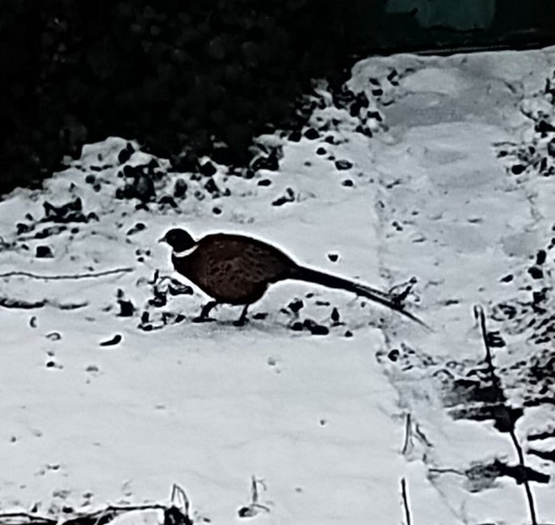 изображение_viber_2025-03-03_16-40-24-412