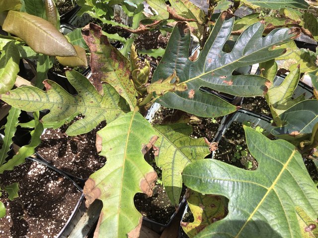 67F857F3-1A4E-4551-98F8-DEA00766EEB8