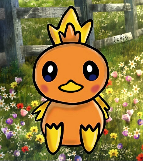 Torchic.jpg