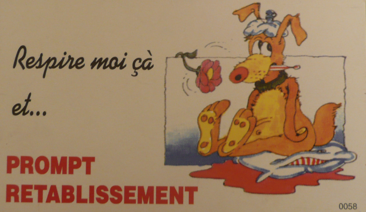 [Image: P1130054.png]