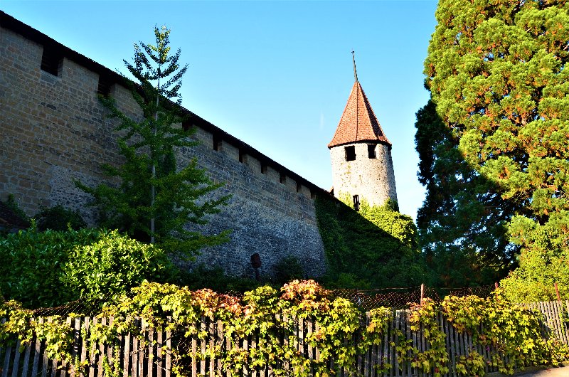 MURTEN-4-9-2019 - Suiza y sus pueblos-2019 (5)