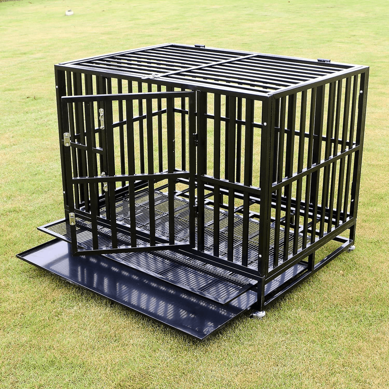 dog cage