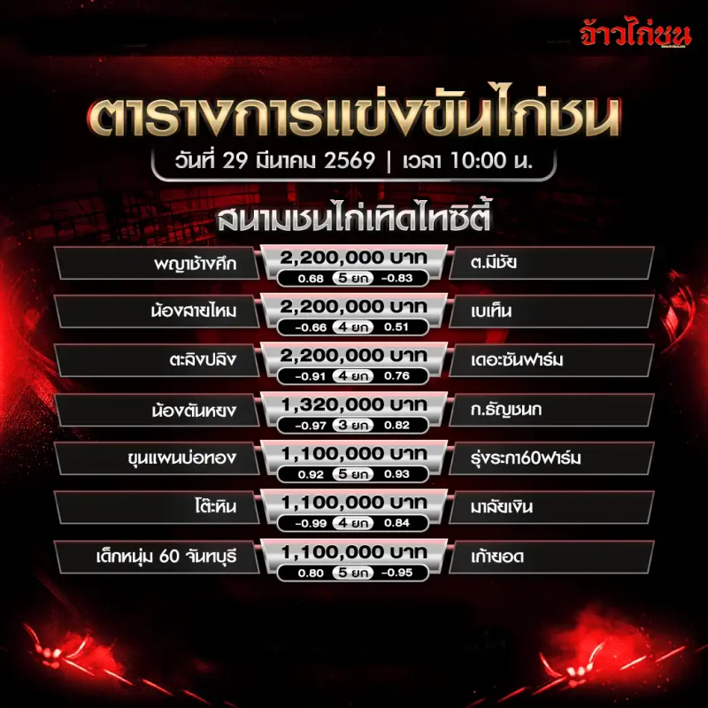 โปรแกรมไก่ชน สนามชนไก่เทิดไทซิตี้ วันอาทิตย์ที่ 29 มีนาคม 2569