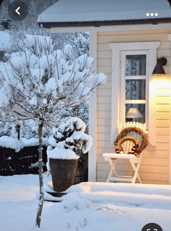 Screenshot_20231101_233313_Pinterest