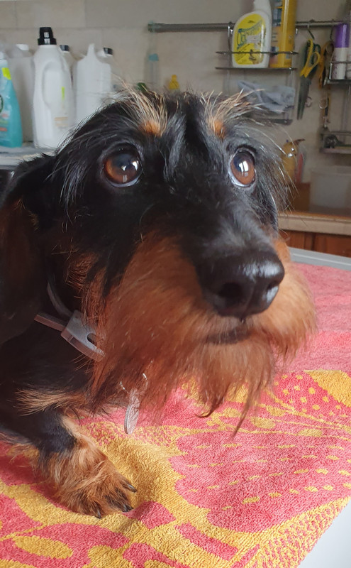 [Image: 20230726-150334.jpg]