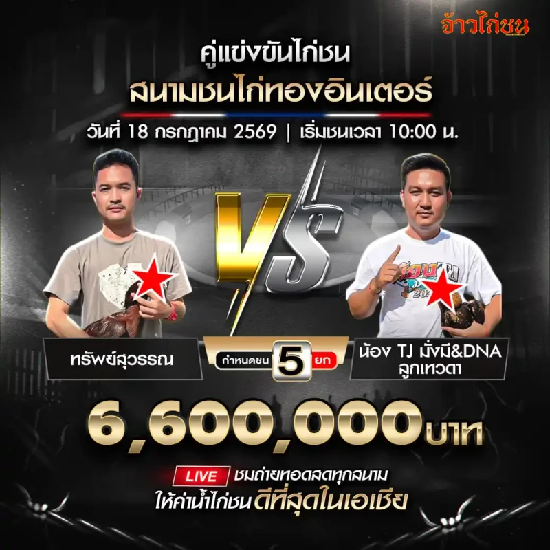 โปรแกรมไก่ชน สนามชนไก่ทองอินเตอร์ 18 กรกฎาคม 2569 ทรัพย์สุวรรณ พบ น้อง TJ มั่งมี DNA ลูกเทวดา