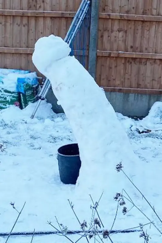 1-PAY-Leaning-Tower-of-Penis-Dads-snowman-melts-overnight-and-transforms-into-erect-penis-leaving-so.webp