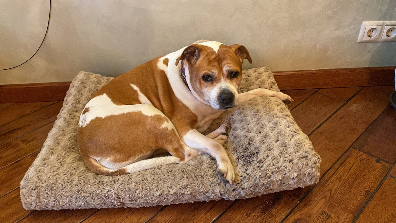 3EA82B21-EDA3-4187-A3EA-DD6C72920CBA