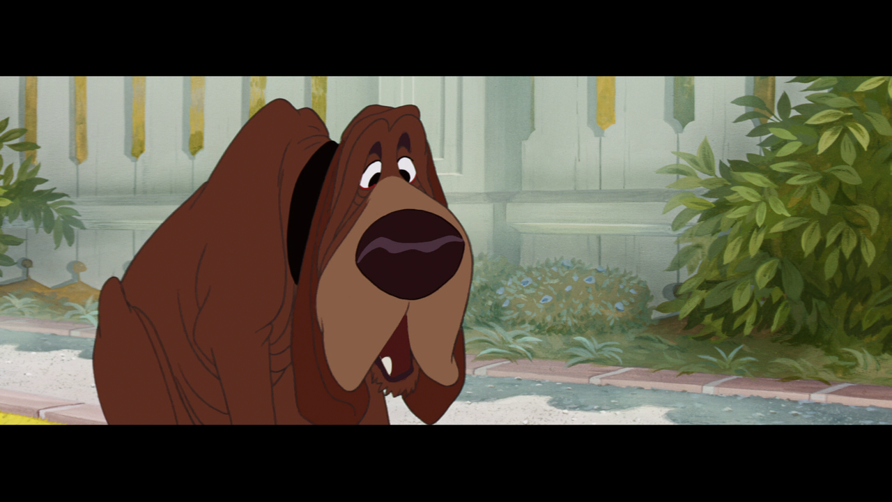 vlcsnap-2023-12-08-18h09m53s995