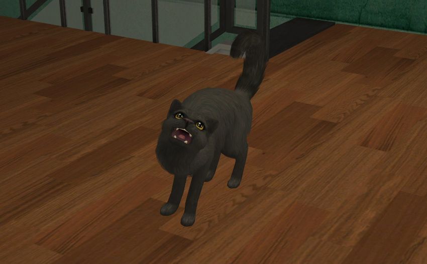 Sims2-EP9-2021-01-15-10-47-57-75