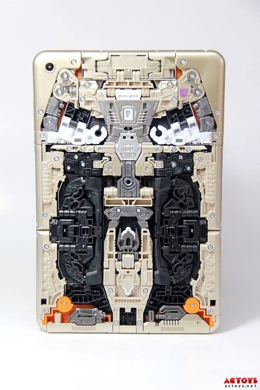 12670903_245122422504859_8533039575337849167_n