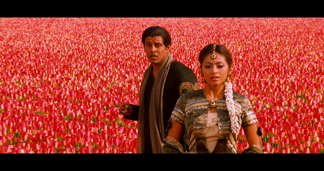 VideoCapture_20241122-200610