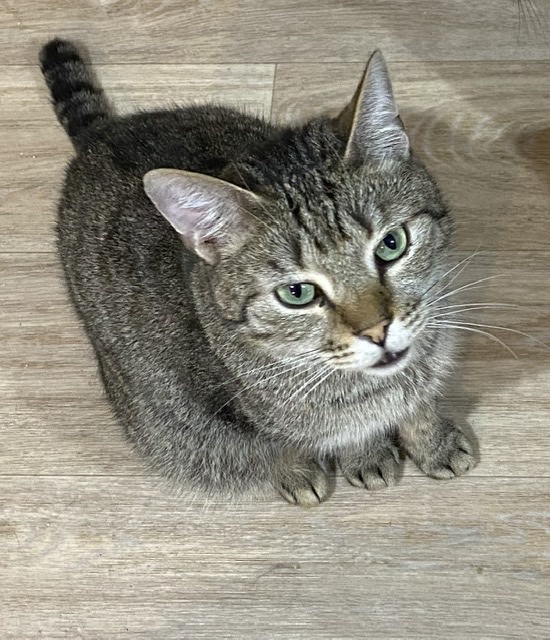 94D928D7-20CB-42A8-8B14-71721FCB6066