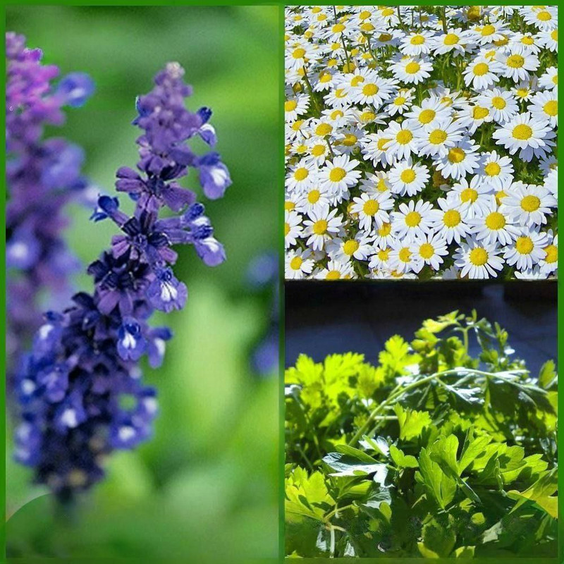 [Изображение: photo-2025-12-19-16-46-04.jpg]