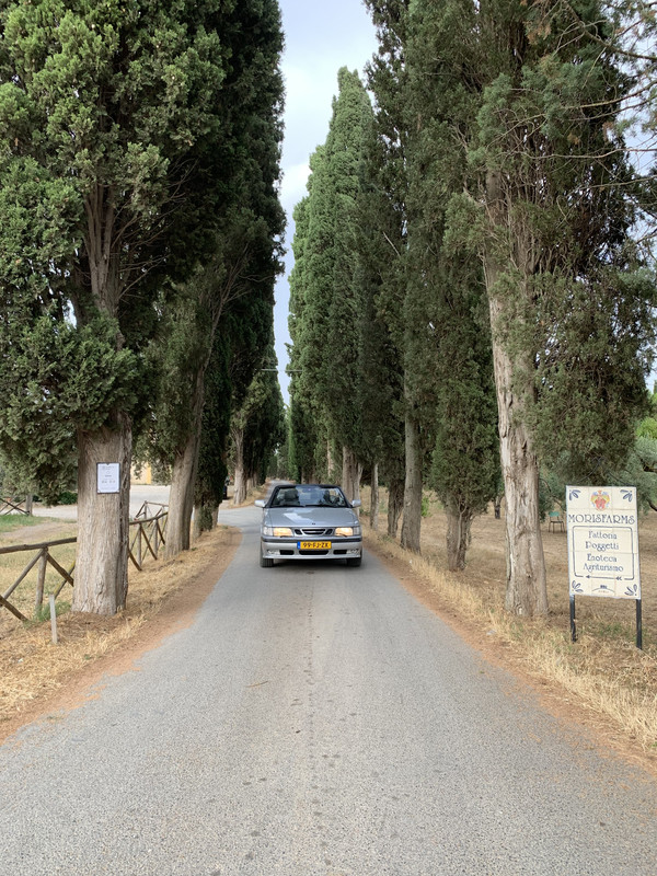 A06A2DAC-6A30-4074-B6C9-AA19535486FA