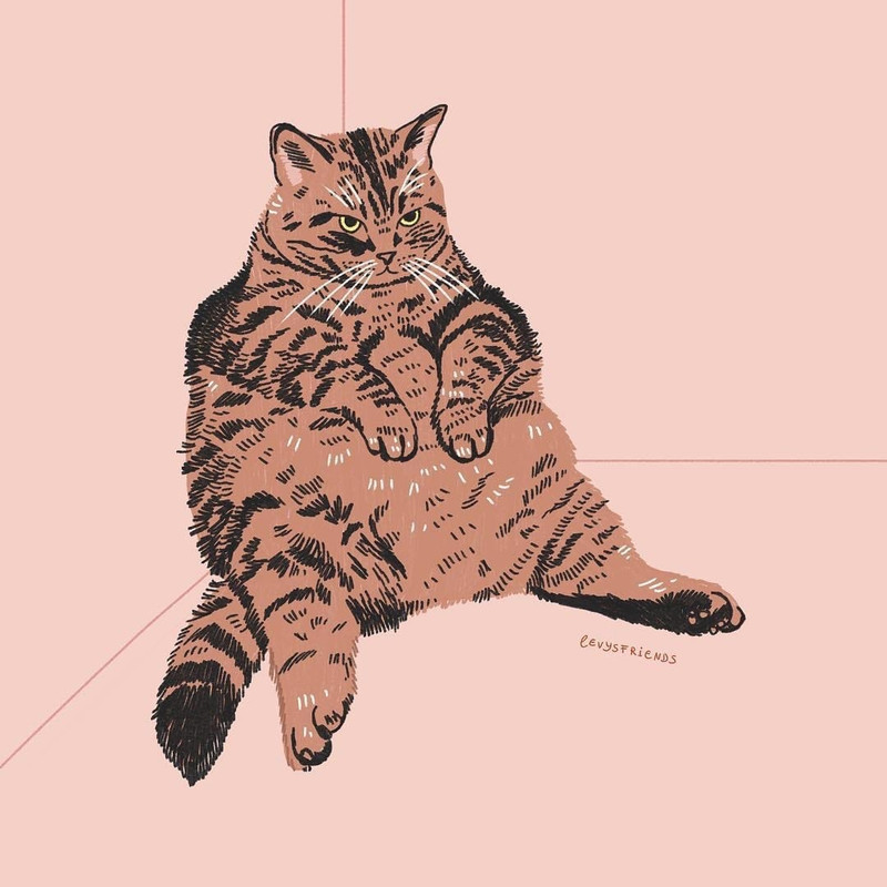 02