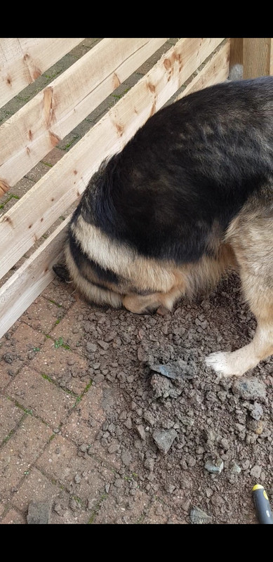 Screenshot_20180830-151754_Video Player