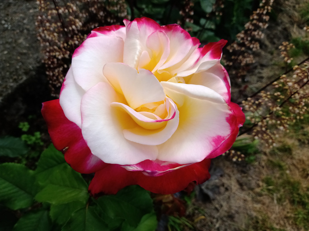 IMG_20230610_151926075