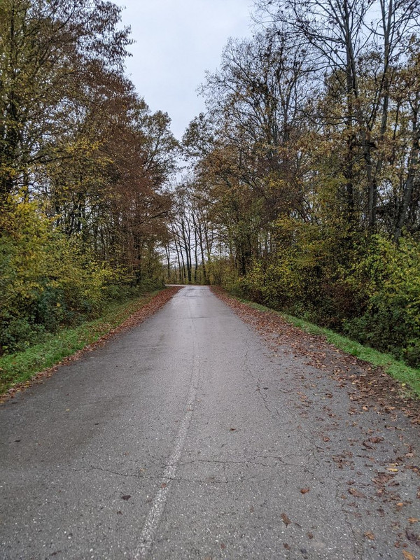PXL_20221106_151848686