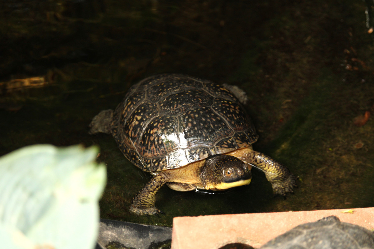 IMG-1564.jpg