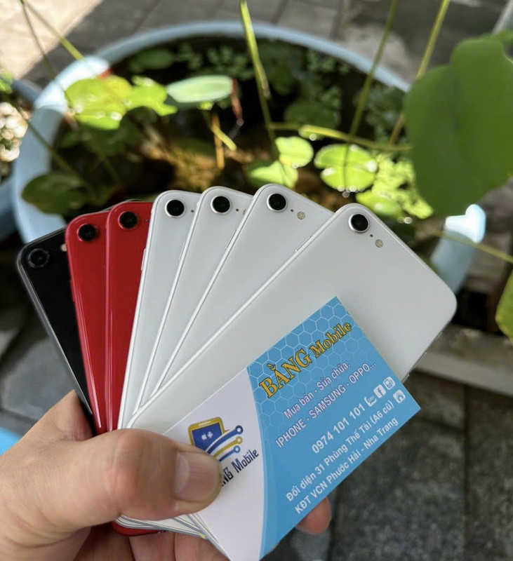 z4587014308506_f618f60bfb4dd4218fd0f6edc49464b0