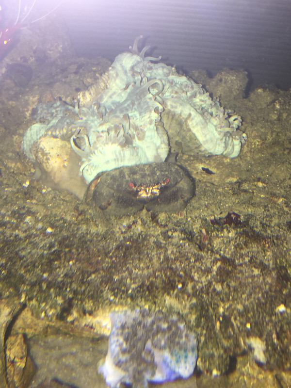 82705D77-16DA-4B0C-A948-83FCB0947FFA