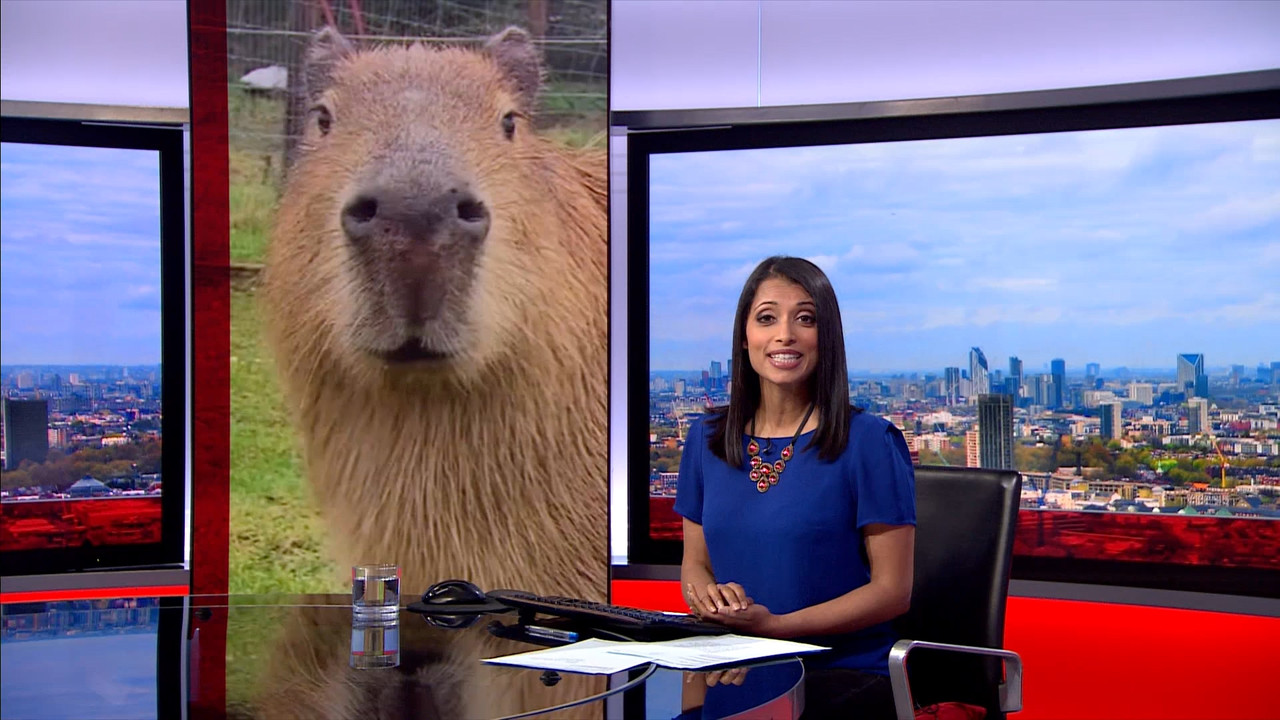 BBC London News_20230410_18501900.ts_snapshot_09.19.287