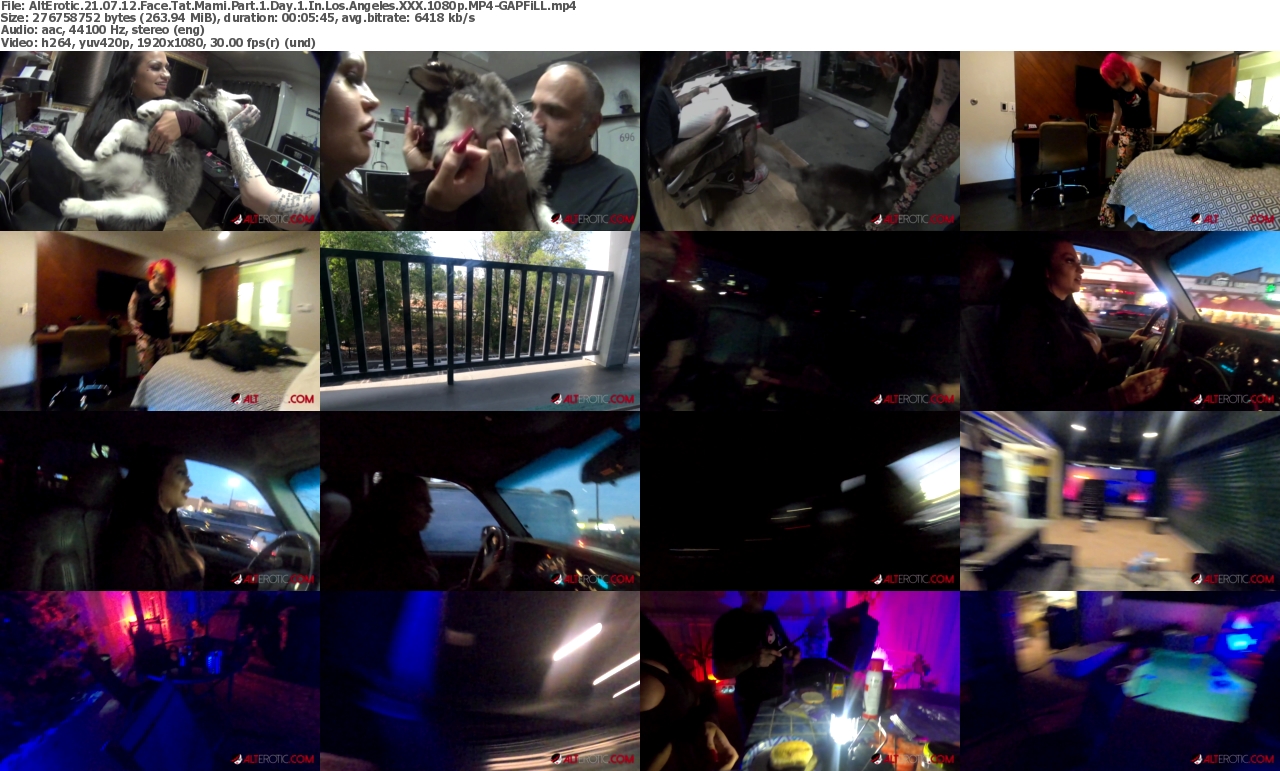 19092023234533screenshot