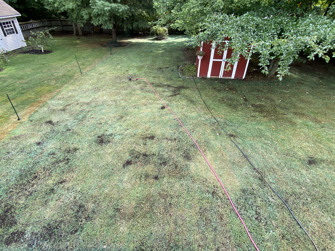 56036EB9-A5F4-45B3-8DB0-919357560D62