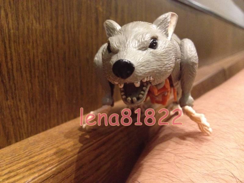 10258710_629386800481066_7208021815873011801_n