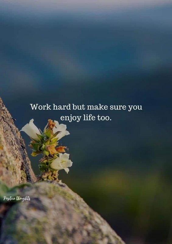 [Image: E853-C420-9-EBF-4906-9-F46-7980-D3633-B03.jpg]