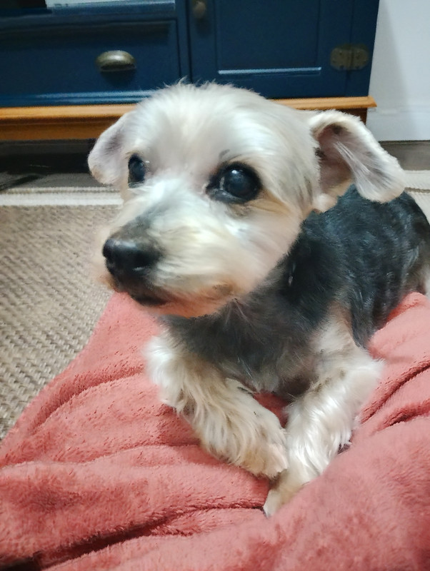 IMG 20260611 221029 hdr