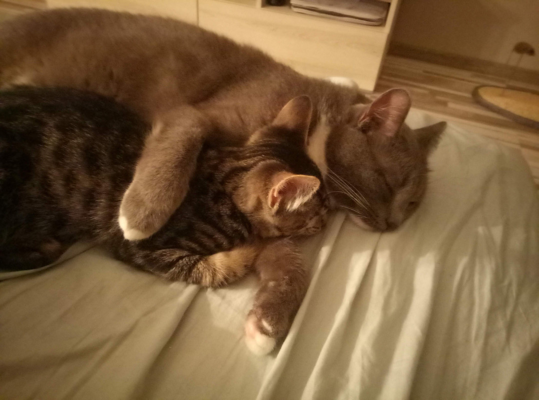 684019C6-CD88-4579-8D38-179C9E09C476