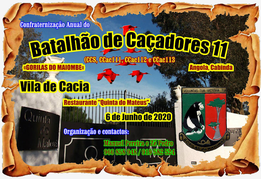 BCac11-06-Jun2020-900