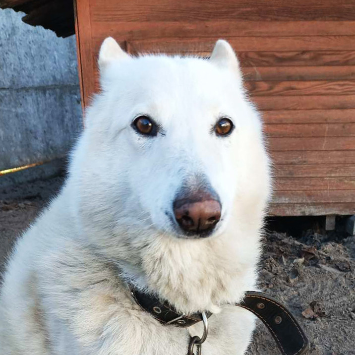 284e96c262c449b00468350d80629fb7