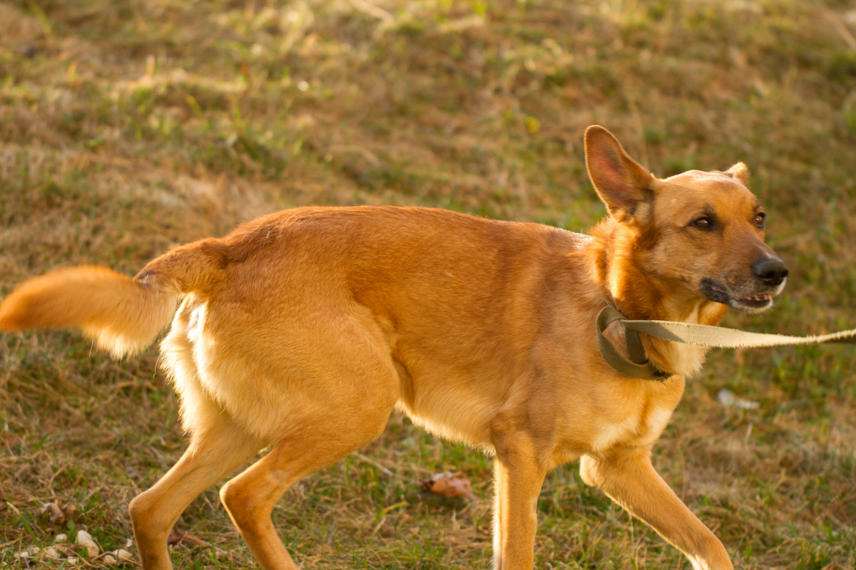 без имени-5345