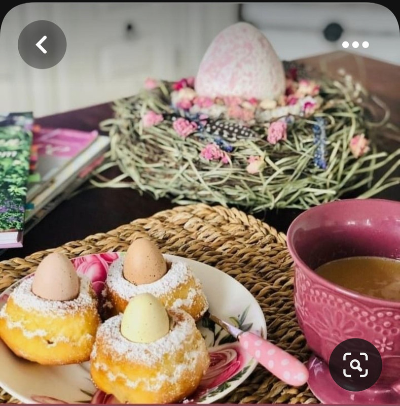 Screenshot_20230413_233839_Pinterest