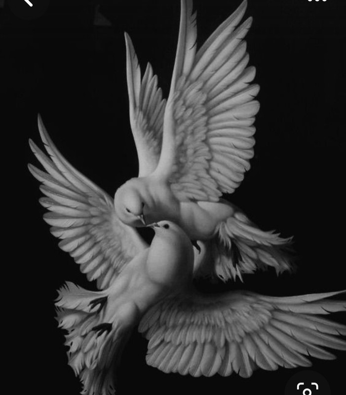 Screenshot_20240123_223516_Pinterest