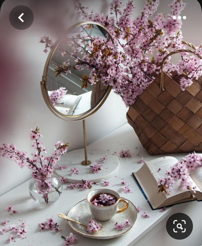 Screenshot_20230819_230631_Pinterest