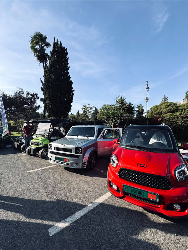 577237795-2378587329241123-8673566173423873994-n