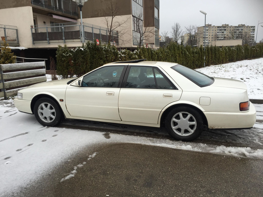 49142978_284984332370894_3965015225282854912_n