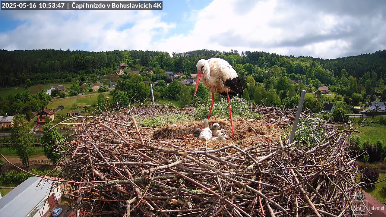 Tiešraide no KARA uzņēmuma stārķu skursteņa Bohuslavicē netālu no Trutnovas 10-40-32 screenshot