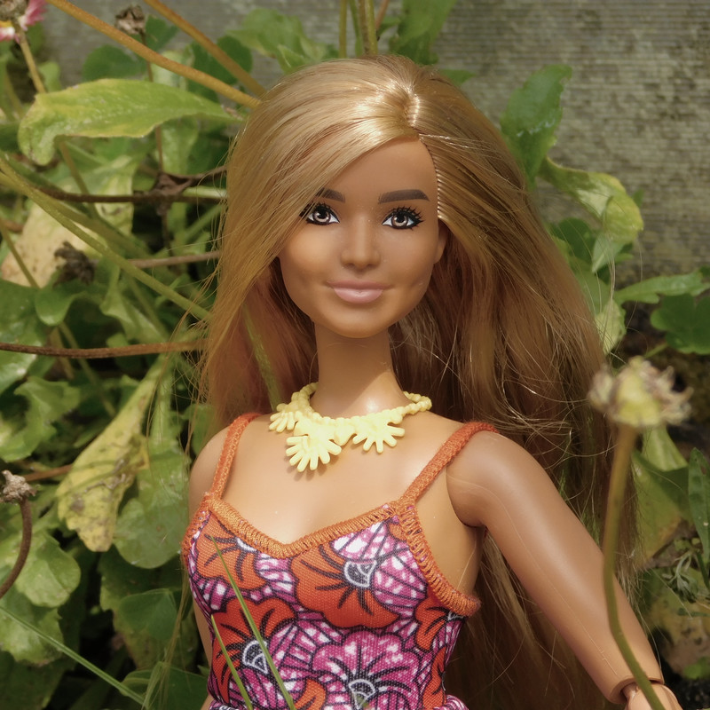 Дачное июль 203 и барби 015