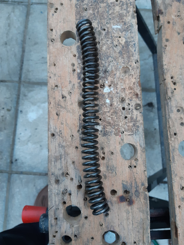 457027837_1184843282628923_4610873089111689107_n