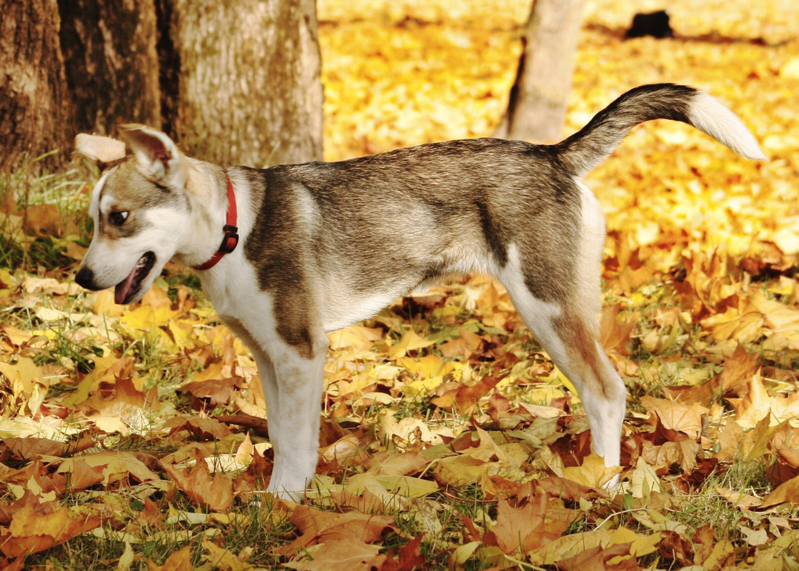 E4D1E231-8934-4368-AF59-91E12EFEC8A7